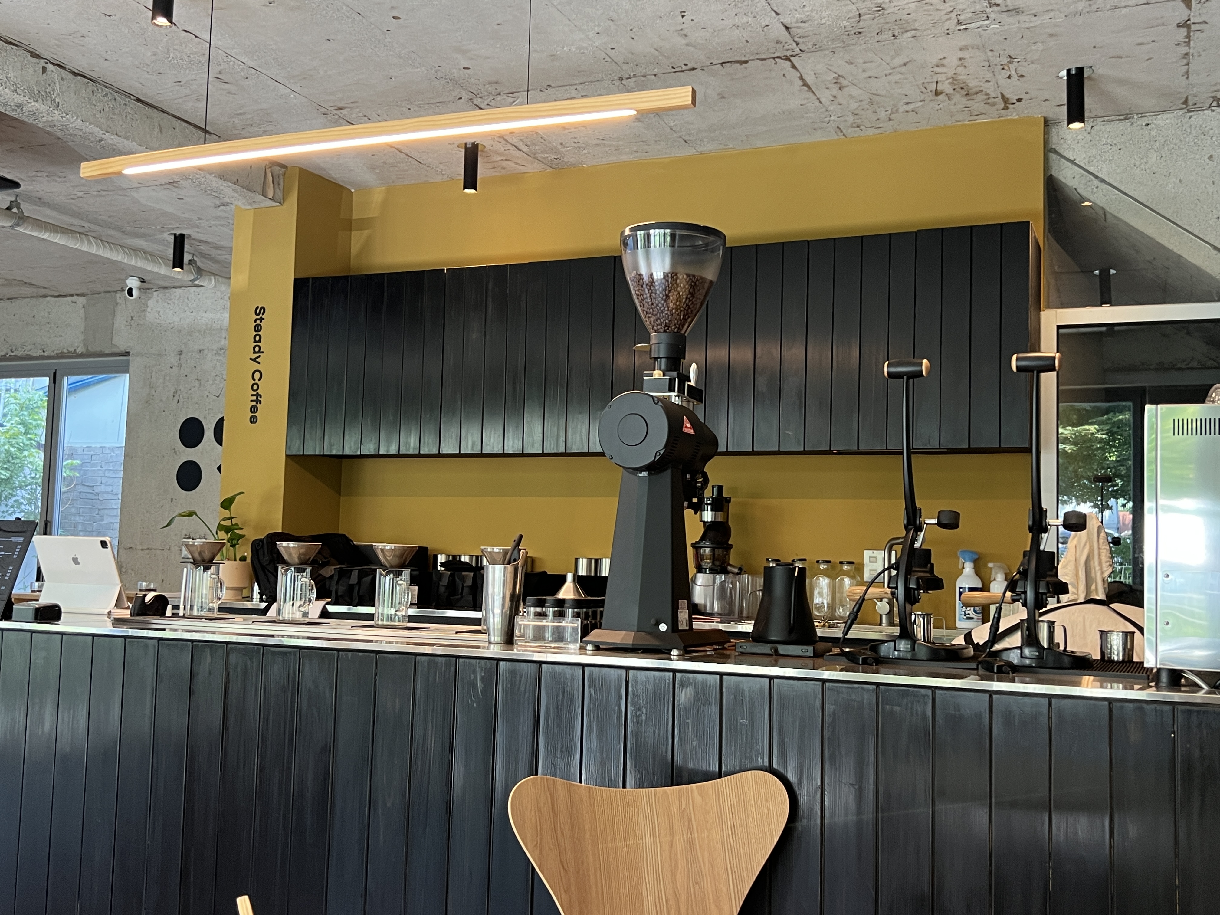 친환경 카페 대구 스테디커피 본점