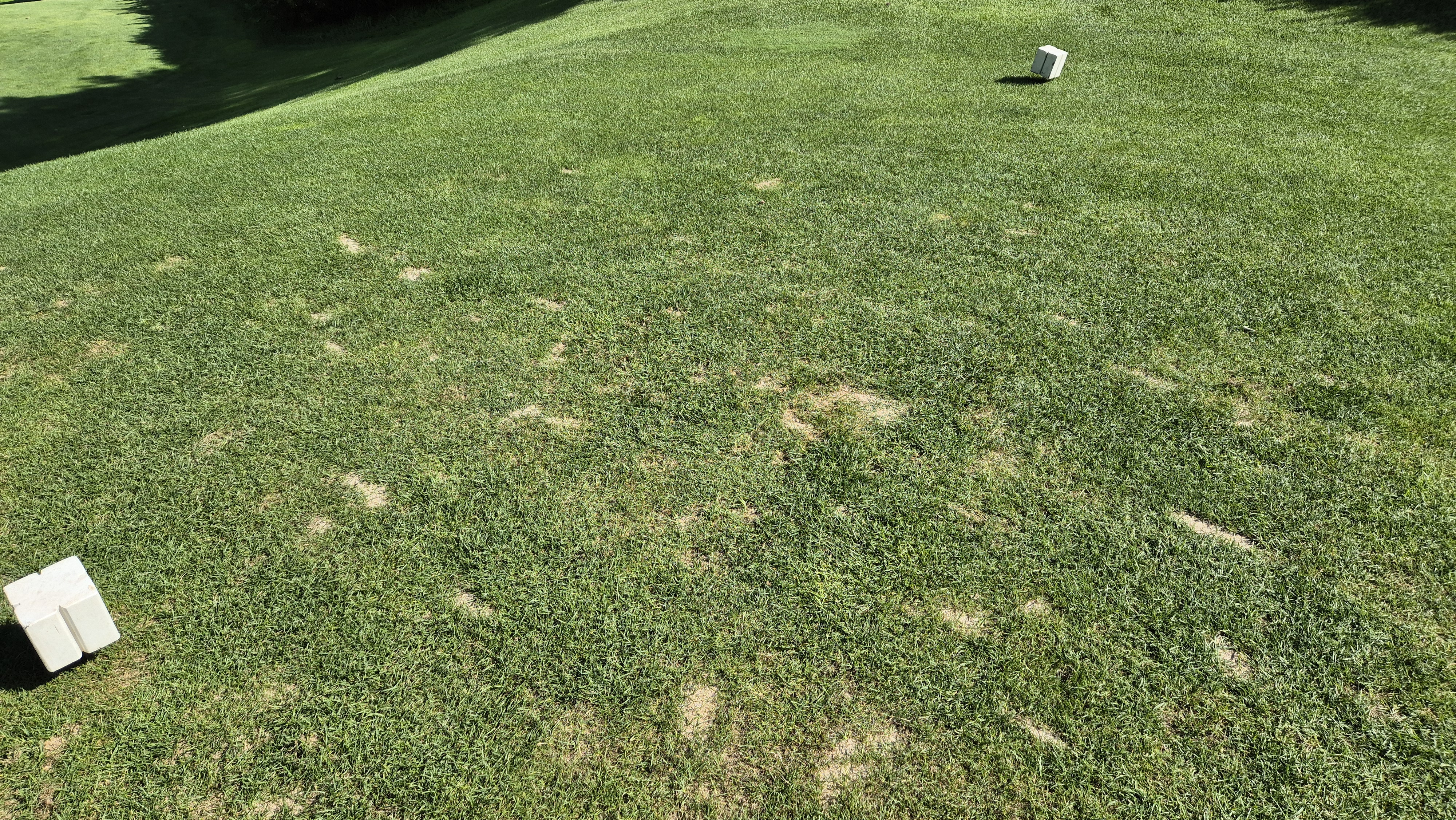 마론cc 라운드 후기