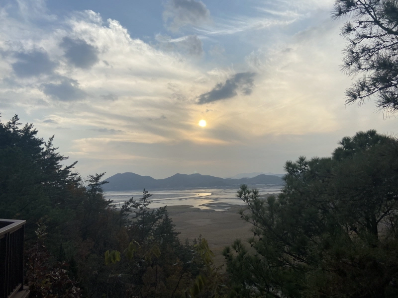 순천만습지 용산전망대