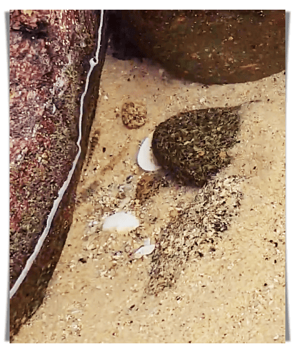 마차진 해수욕장 12