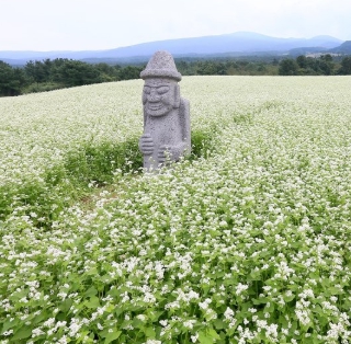 한국의 떡 종류 새미떡