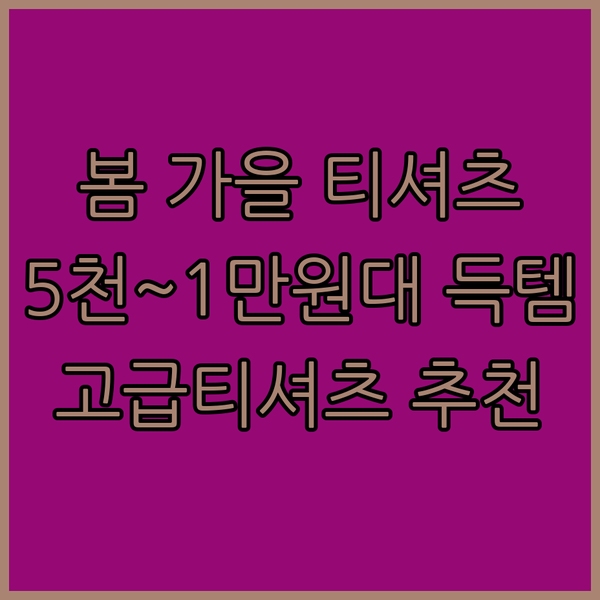 봄 가을 티셔츠 추천 5만원대 고급 