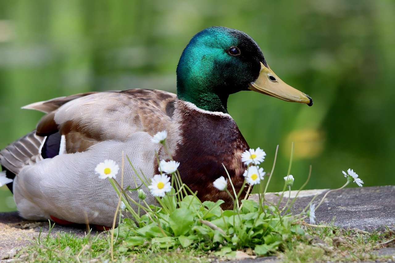 보청기 국가보조금 지원
