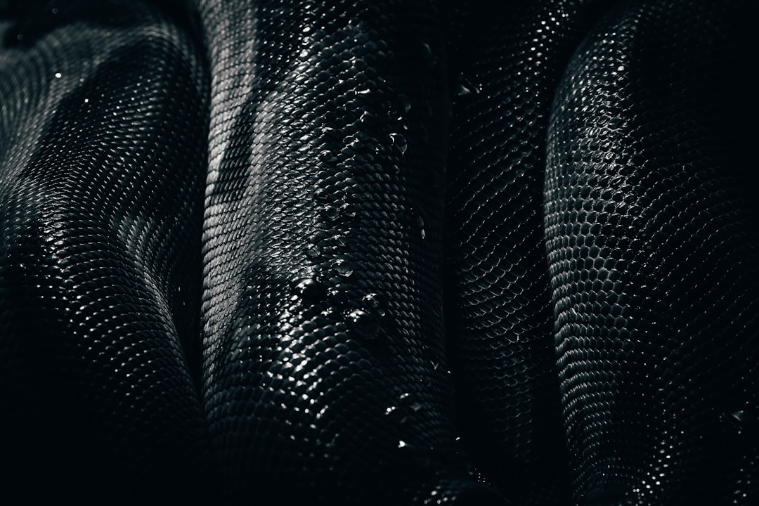 Snake