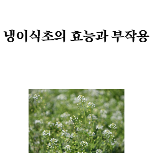 냉이식초의 효능과 부작용&#44; 만드는 법