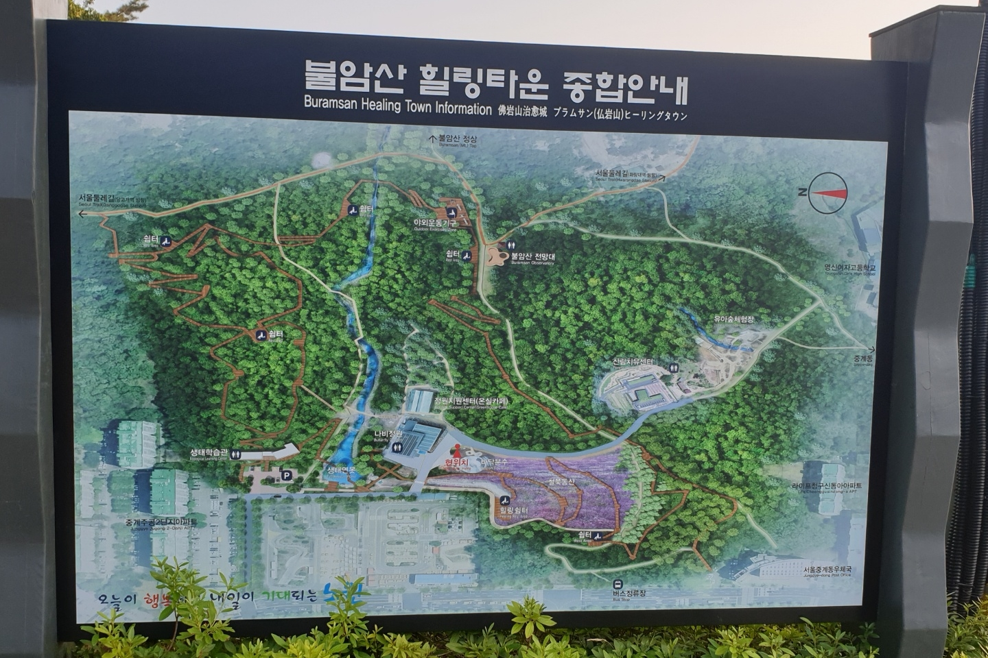 생방송투데이 불암산 철쭉제 나비정원