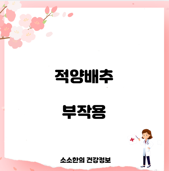 적양배추 부작용