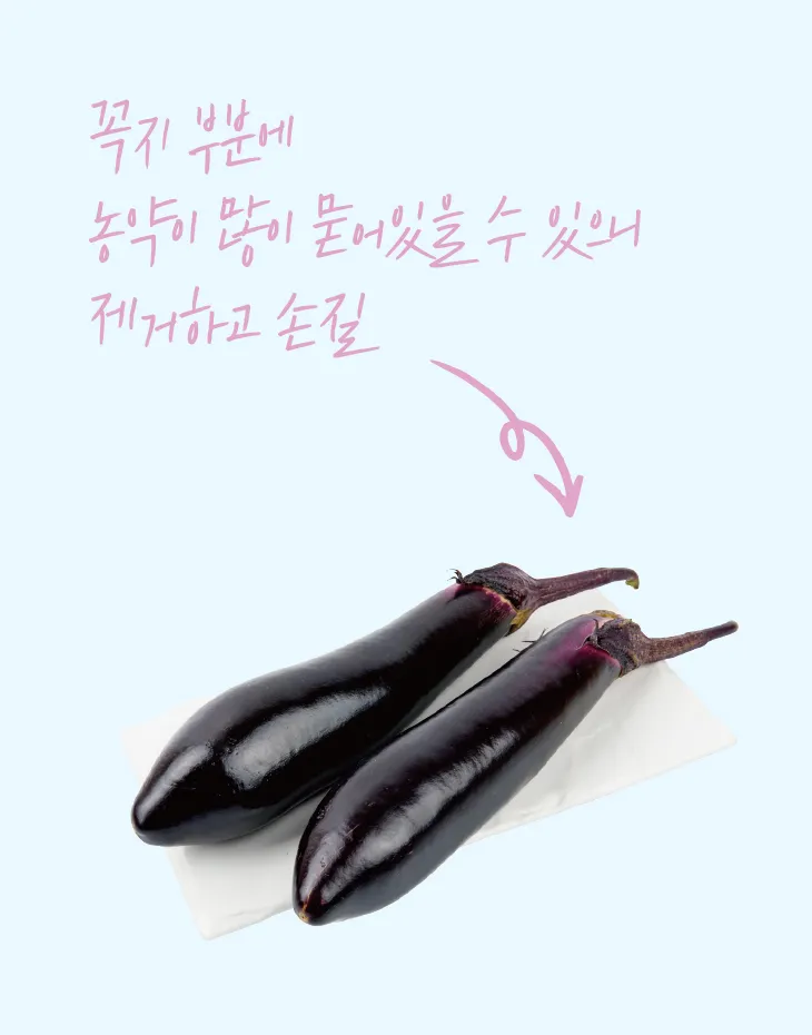 가지 효능 혈압 당뇨 관리 도움 정보_4