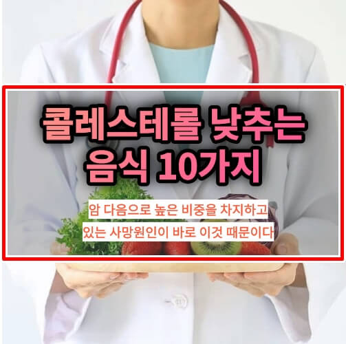 콜레스테롤 낮추는 음식