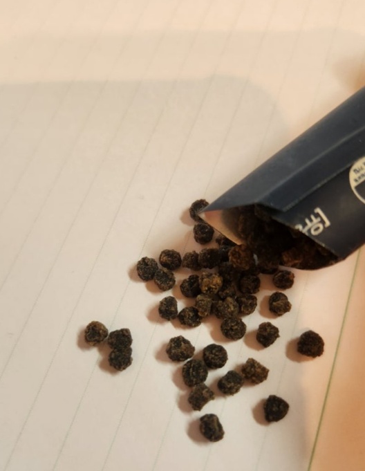 명본당 오늘 비움환