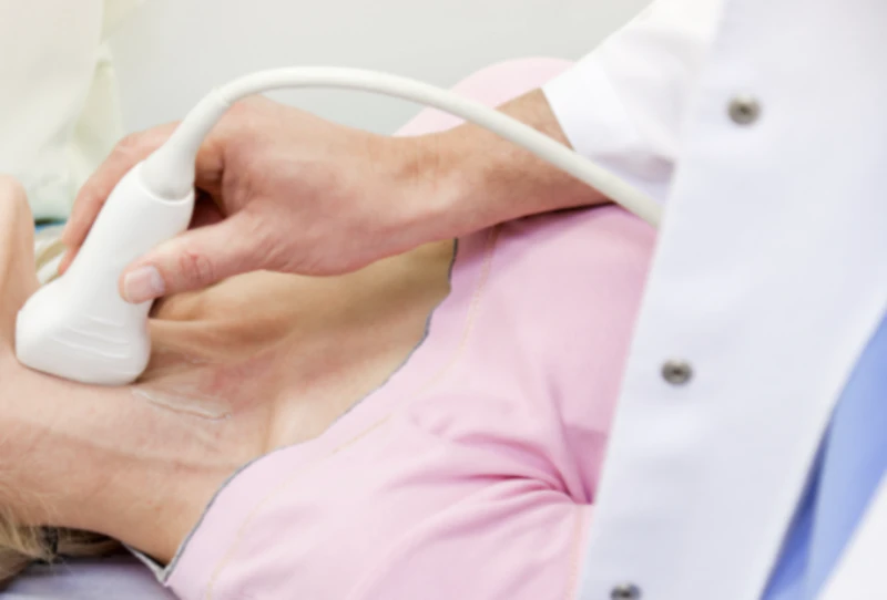 경동맥-초음파-검사