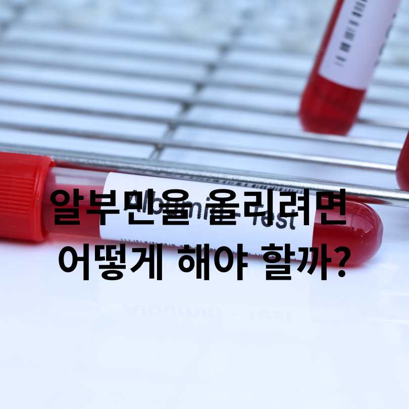 알부민 효능 총정리
