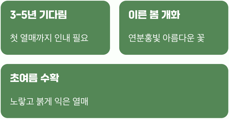기다림 끝의 달콤한 열매