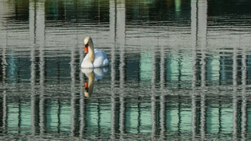 사전투표 준비물 바로 보기 14