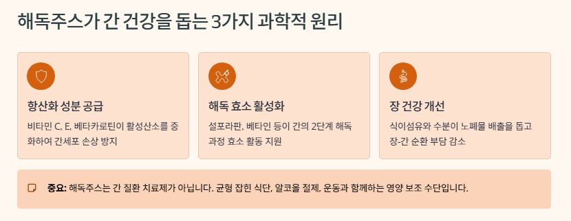 해독주스의 원인