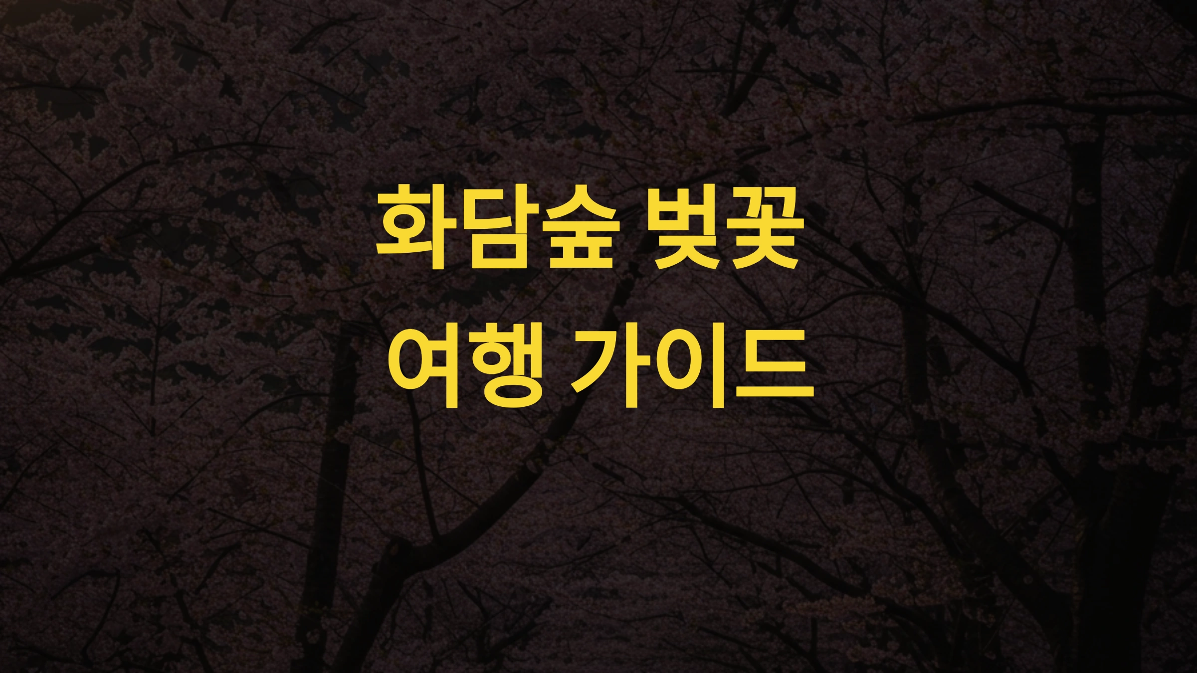 화담숲 벚꽃 시즌 언제 갈까 2025년 개화 시기 &amp; 예약 팁 총정리