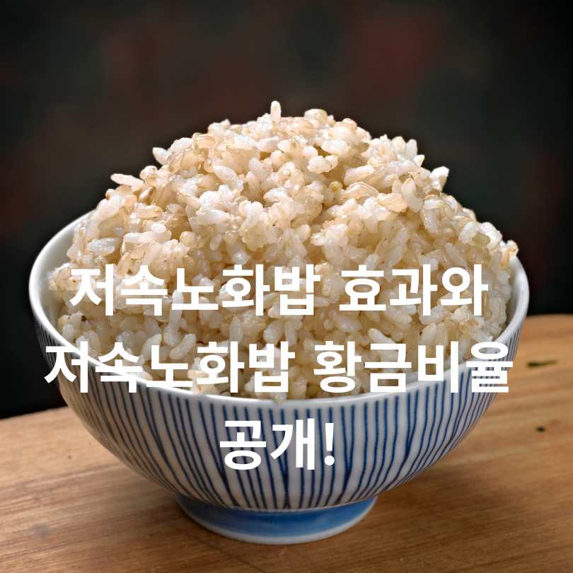 저속노화밥 효과와 저속노화밥 황금비율 공개!