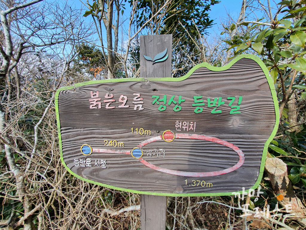 붉은 오름 정상 등반길