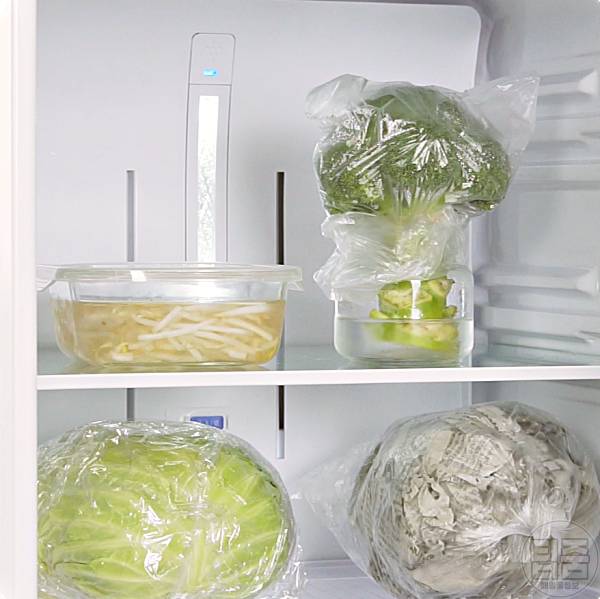 브로콜리 보관법 보관기간