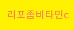 지식인