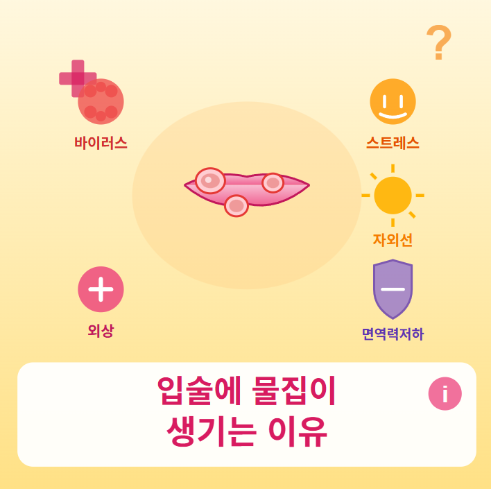 입술에 물집이 생기는 이유