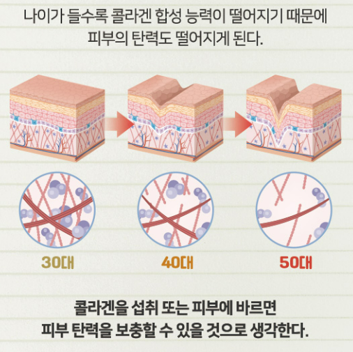 콜라겐의 섭취를 극대화 하는 방법(3)
