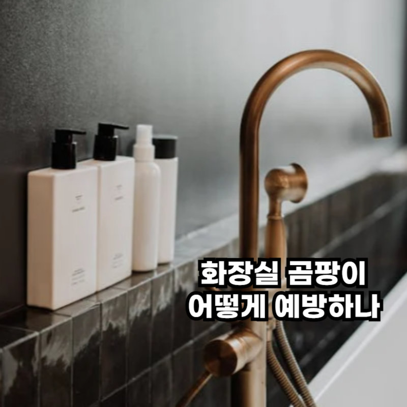 욕실용품이 진열된 욕실 내부 모습