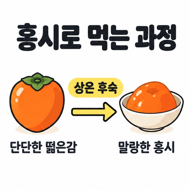 단단한 떫은감이 상온 후숙을 거쳐 그릇에 담긴 말랑한 홍시로 바뀌는 과정을 화살표로 보여주는 도식