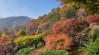 단풍명소_화담숲_모노레일