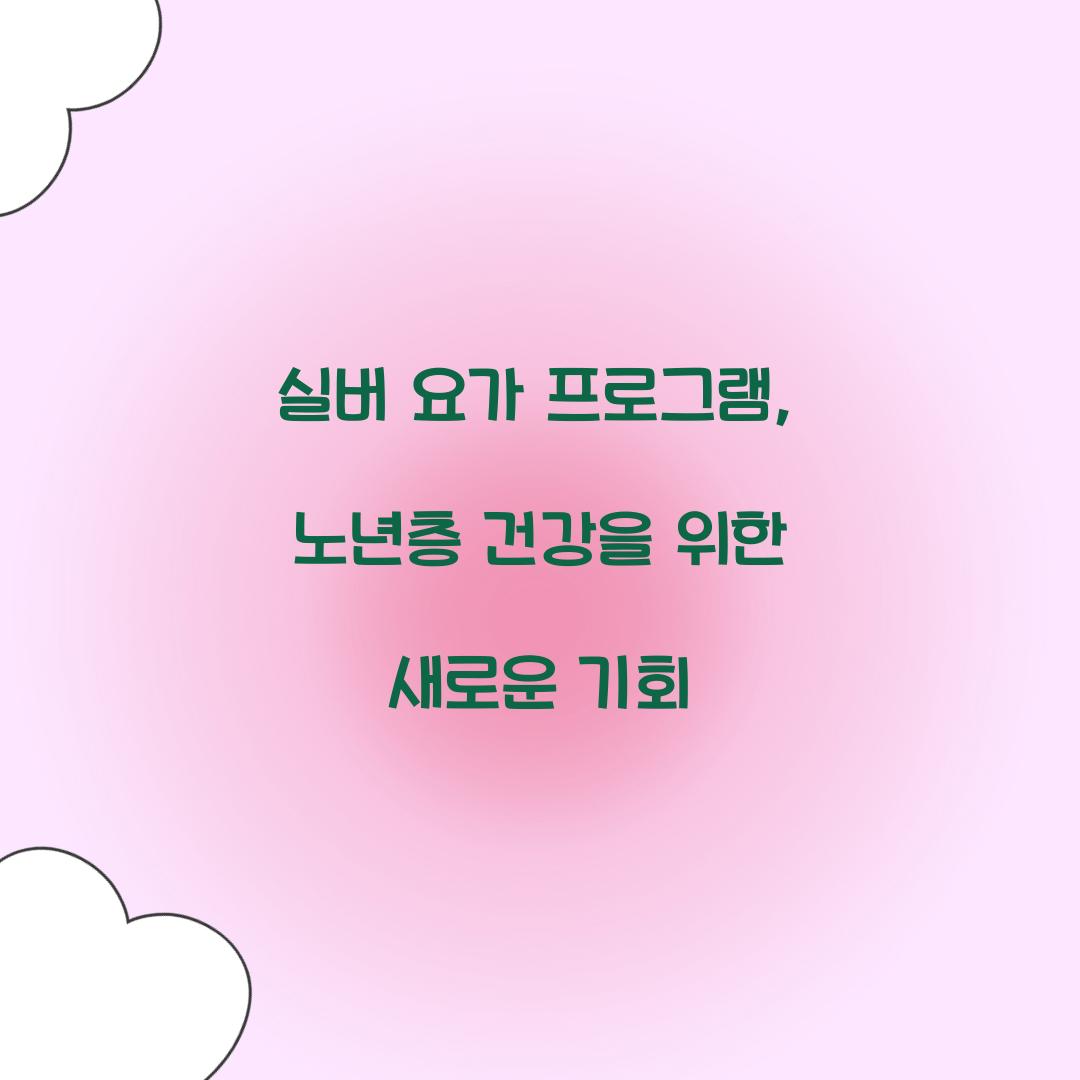 실버 요가 프로그램