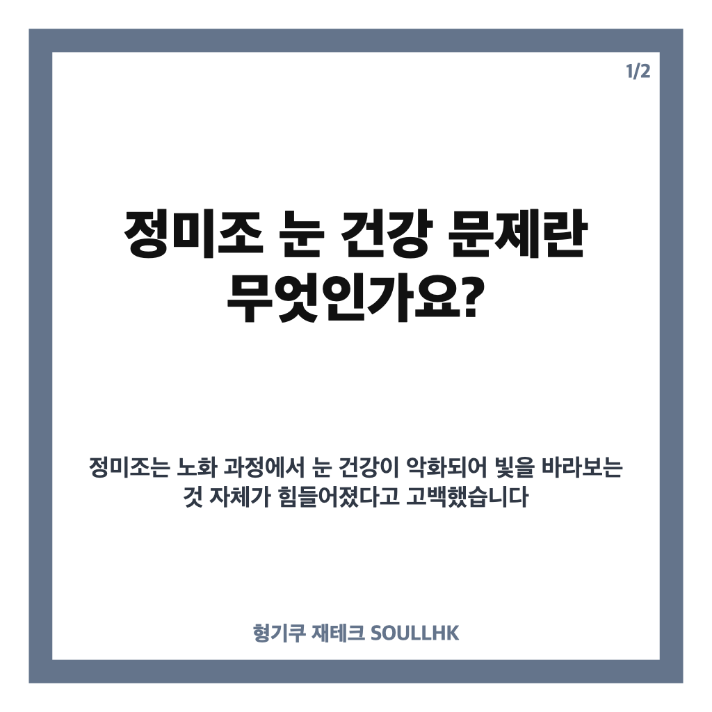 정미조 눈 건강 문제로 밝힌 근황과 10월 합동 콘서트 준비 소식 카드뉴스 1