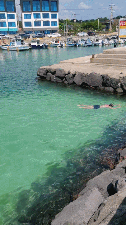 제주서쪽여행-스노클링-3대장-월령포구-협재해수욕장-금능해수욕장