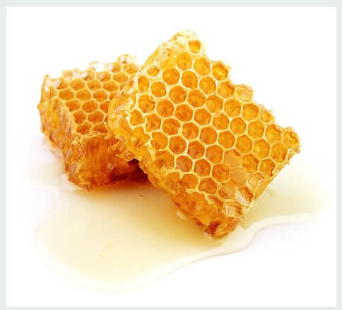 면역력 높이는 영양제 추천 BEST 5