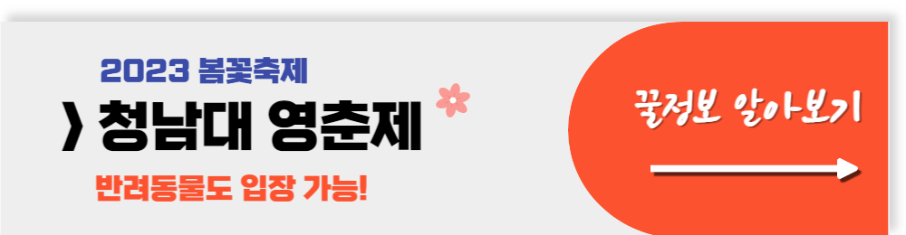청남대 영춘제 자세한 정보 알아보기