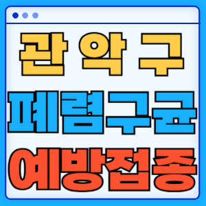 서울 관악구 폐렴구균 백신 무료 예방접종 비용지원 가격 신청방법 대상자 간격 13가 15가 20가 23가