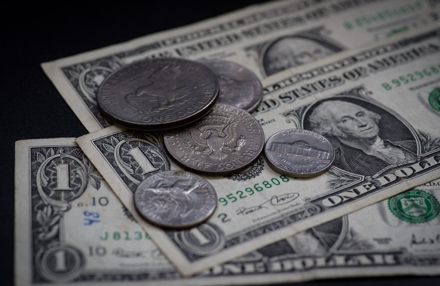 자연보호 펀드는 돈이 될까? – 멸종위기 동물 보호에 투자하는 ESG 금융 상품