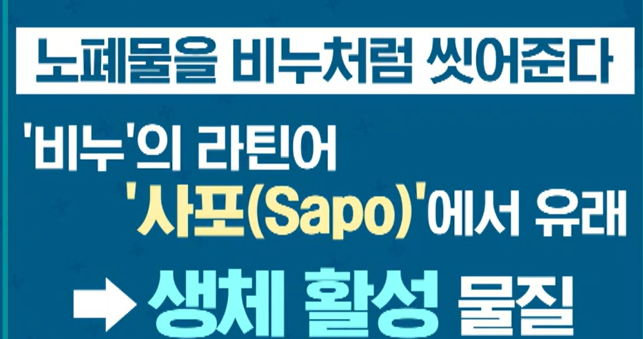 맥문동 효능