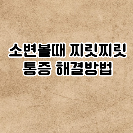소변볼때 찌릿찌릿 통증 원인 과 관련 질병