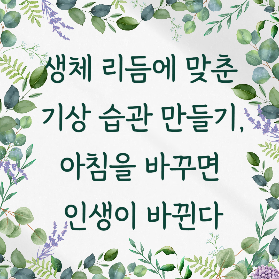 생체 리듬에 맞춘 기상 습관 만들기, 아침을 바꾸면 인생이 바뀐다