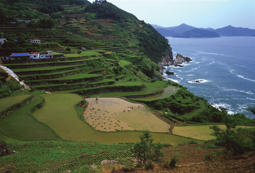 2025 해돋이 명소 추천&amp;#44; 일출 시간 