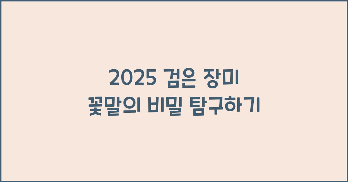 2025 검은 장미 꽃말