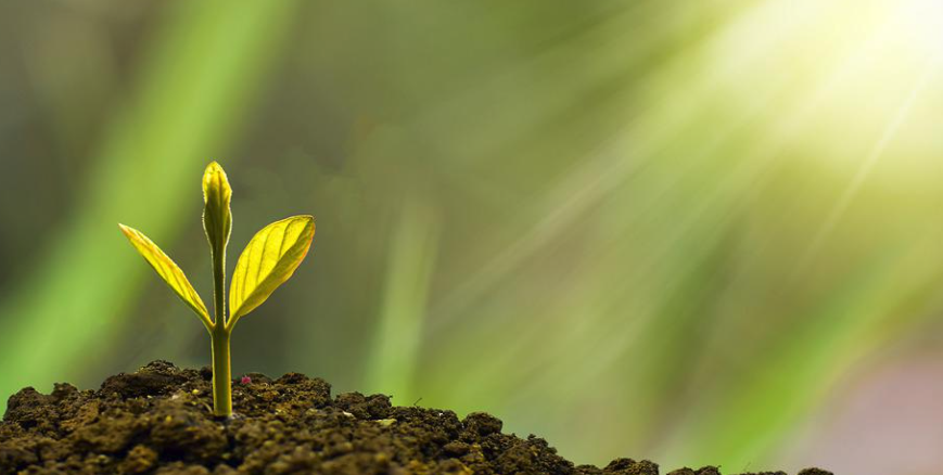 대구지역 소상공인 지원금 지원사업