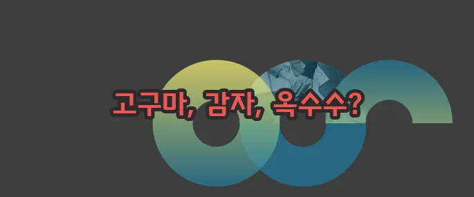 탄수화물이 많은 음식 자세히 알아볼게요