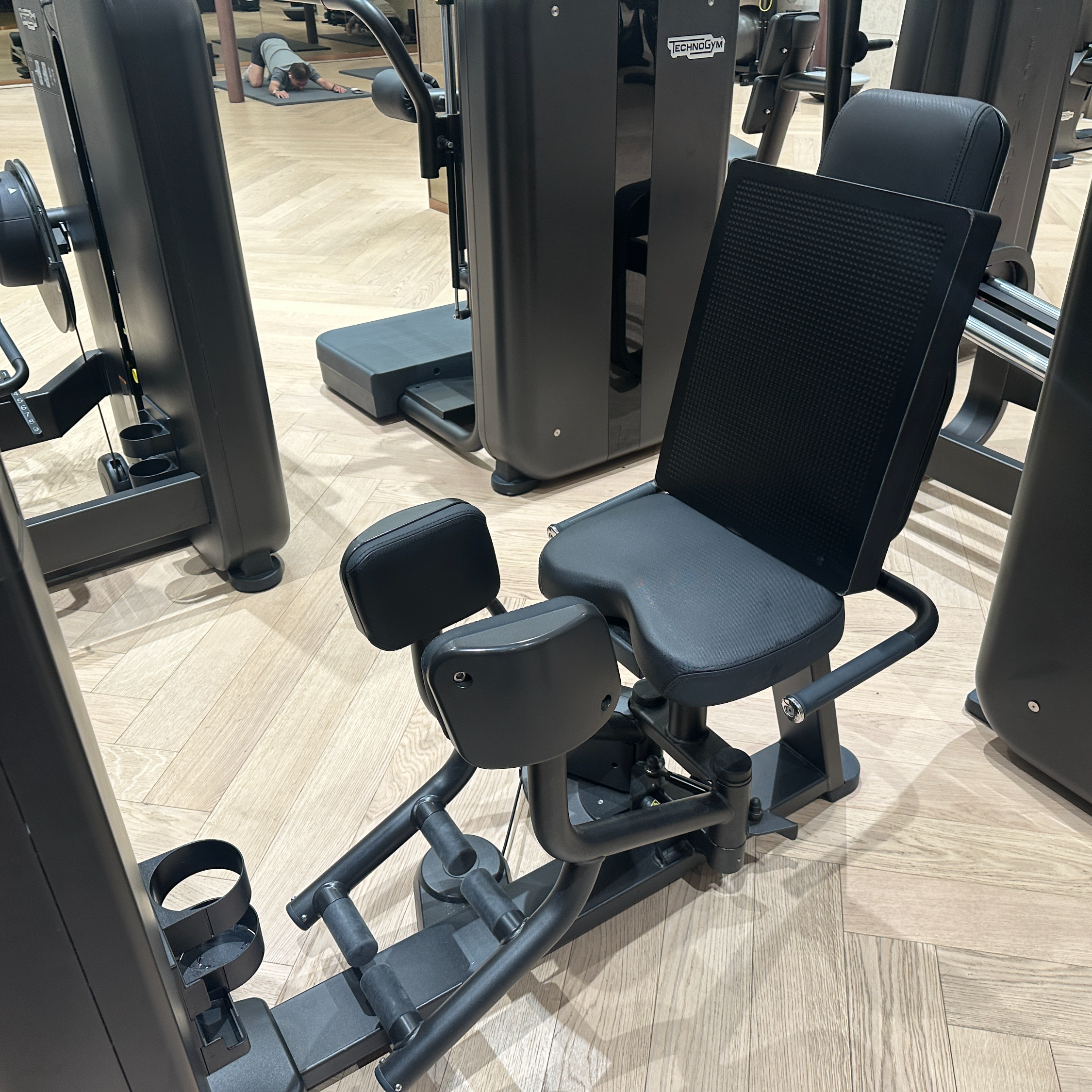 힙딥과 셀룰라이트