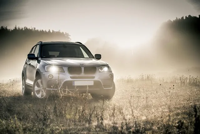 2025년 8월 중형 SUV 판매 순위 전체 순위표로 확인_6