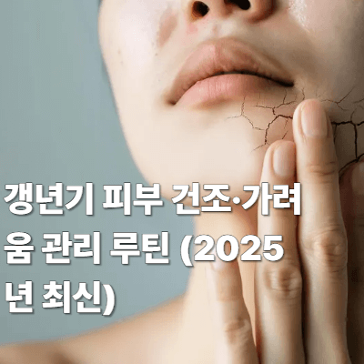 갱년기 피부 건조&middot;가려움 관리 루틴 (2025년 최신)