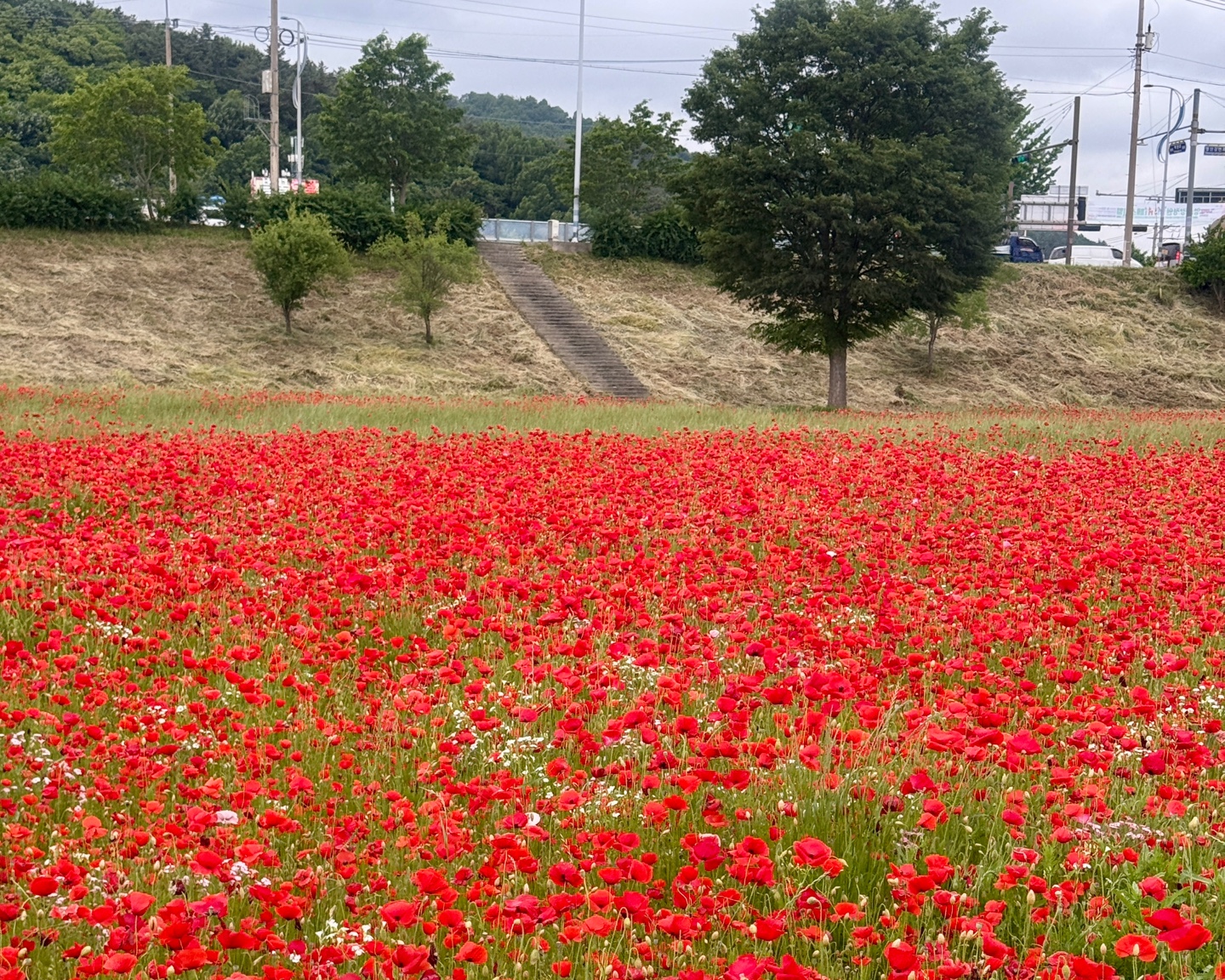 전라도 나주 영산강