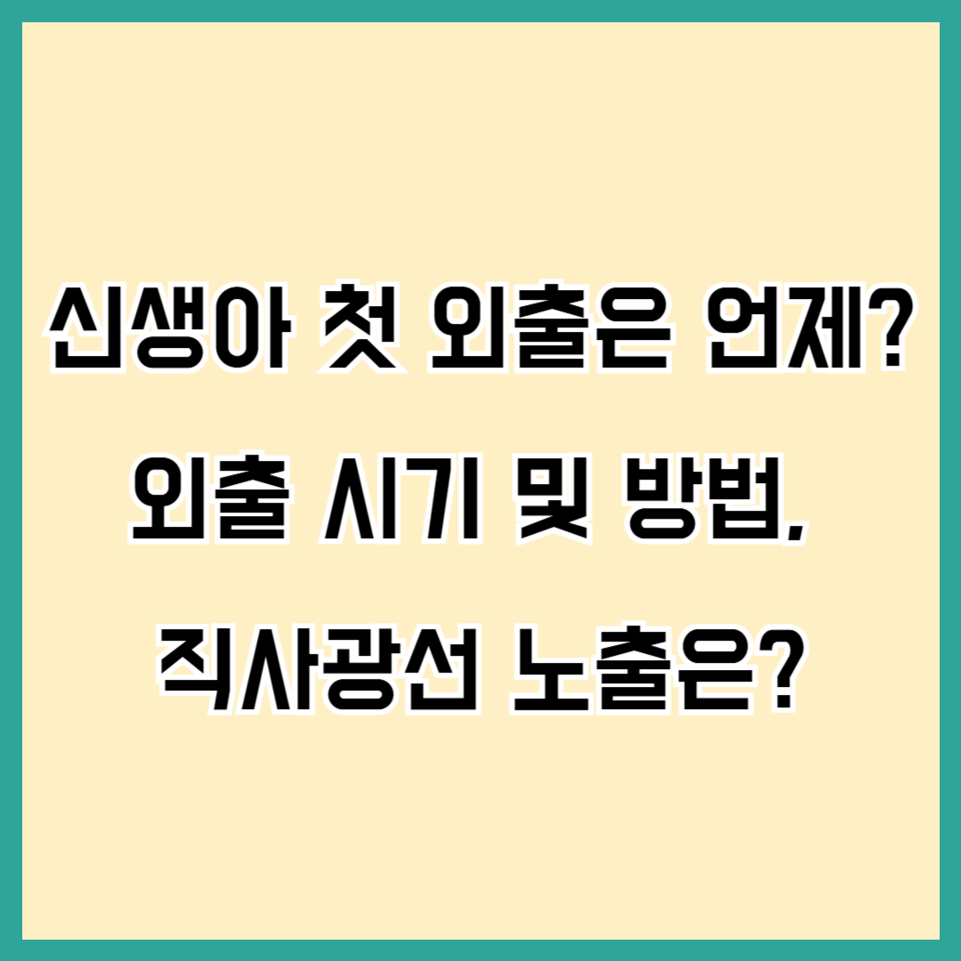 신생아 첫 외출 시기는 언제? 신생아 외출, 외출 시기, 외출 방법, 직사광선 대처법
