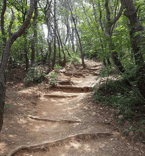 수통골관광