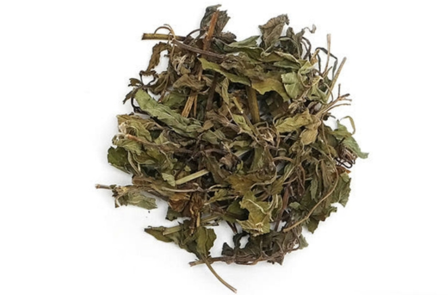 야생에서 채취를 한 박하의 잎을 깨끗하게 세척을 한 후에 건조시킨 것을 하얀 바닥 위에 수북하게 놓아두고 찍은 사진